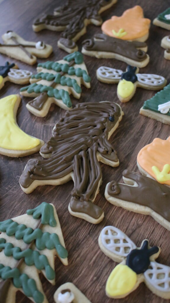 camping decorated sugar cookies