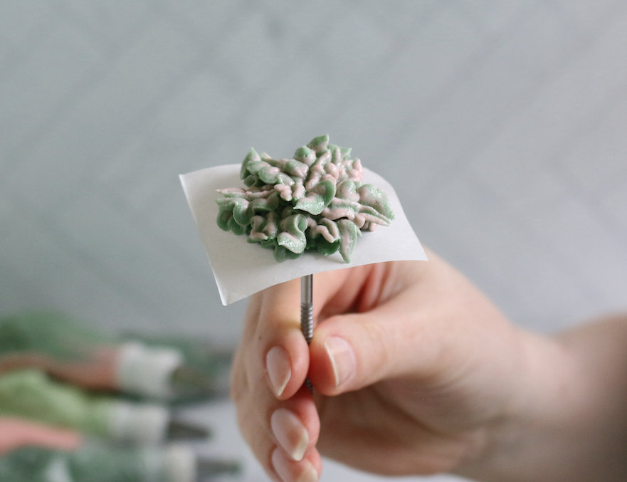 buttercream succulents tutorial