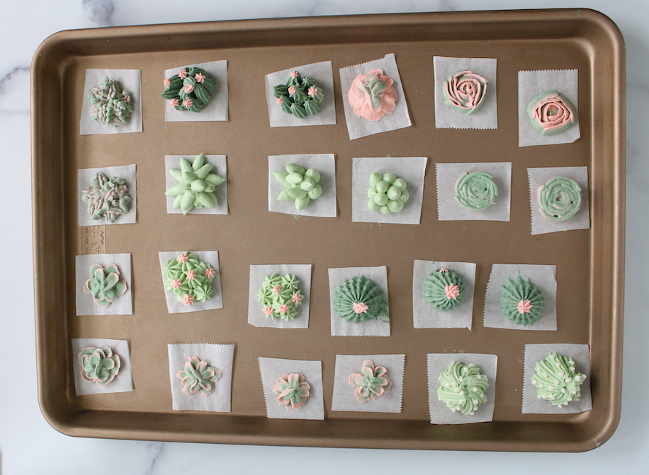 edible succulent cake decorations