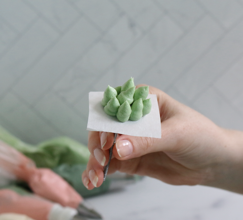 succulent piping tips