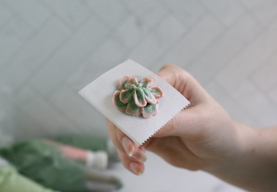 succulents buttercream