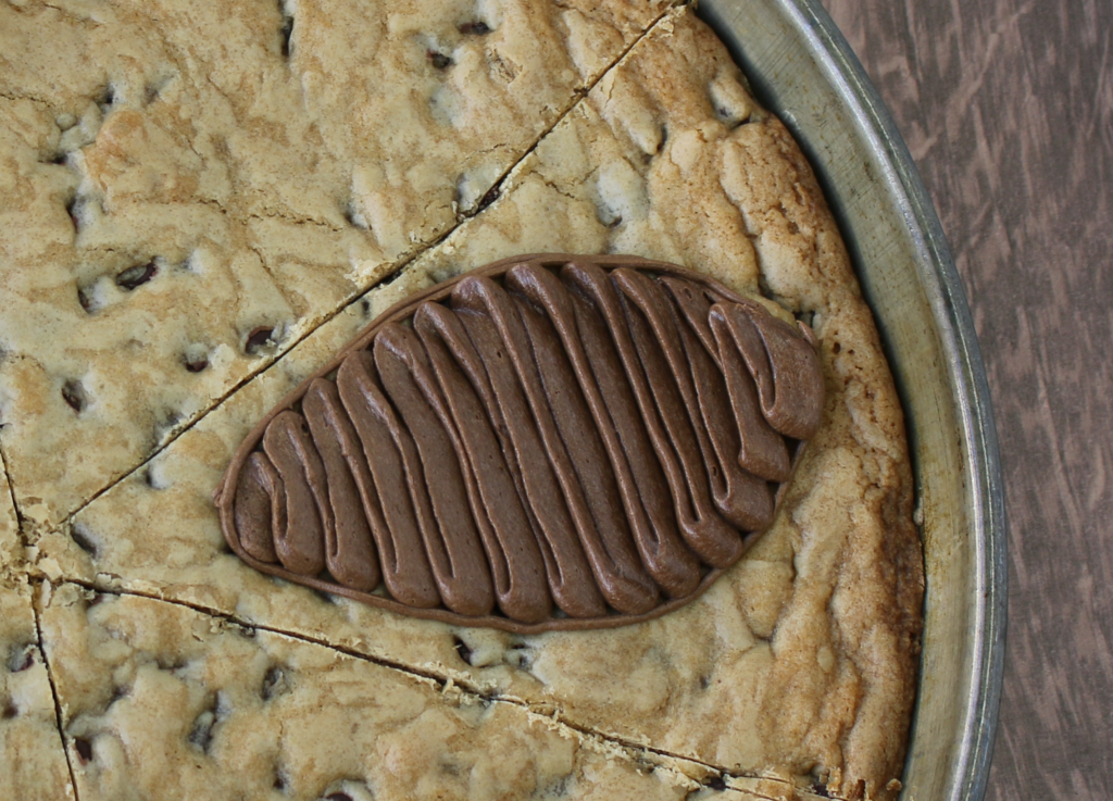 fall cookie cake ideas