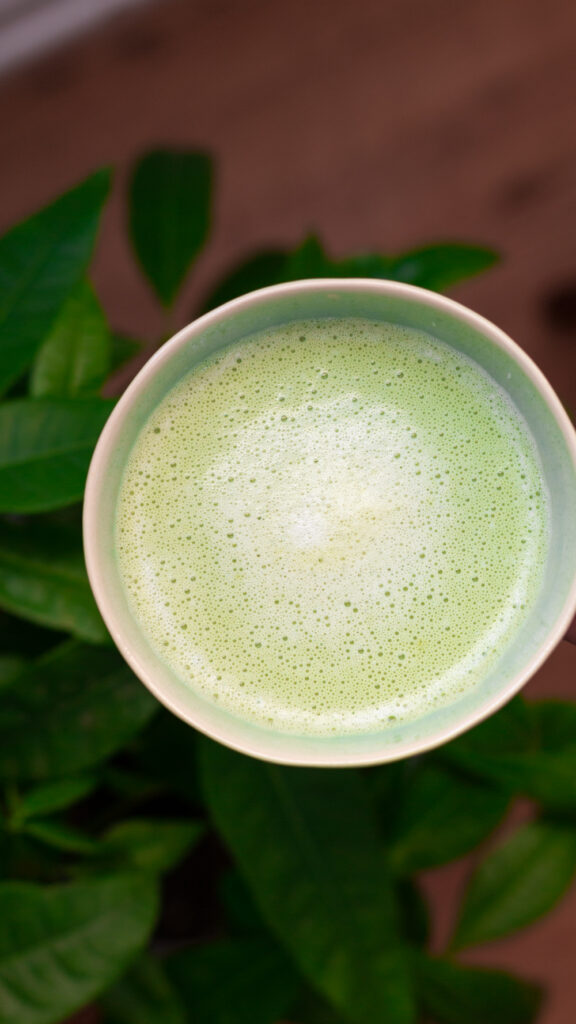 Starbucks matcha latte recipe