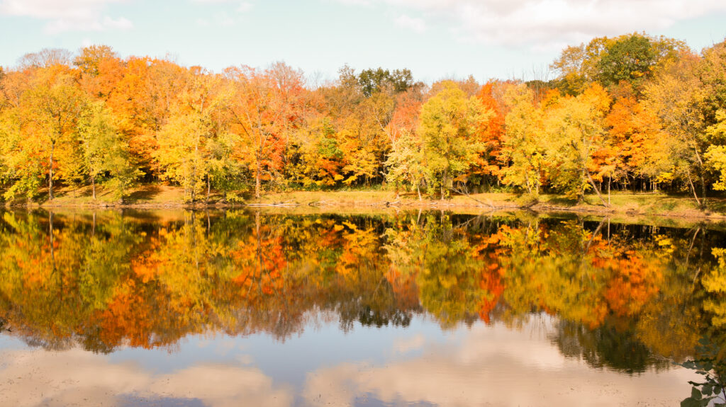 31 autumn bucket list ideas