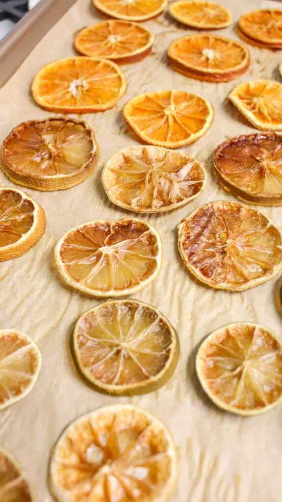 dried citrus for cocktails recipes