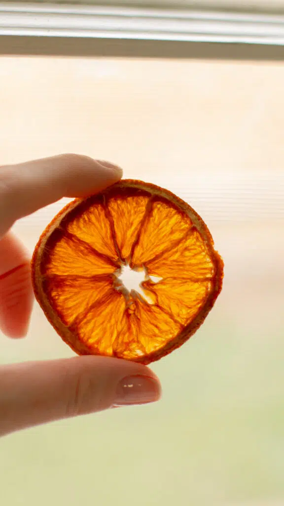 how to dry citrus in the oven