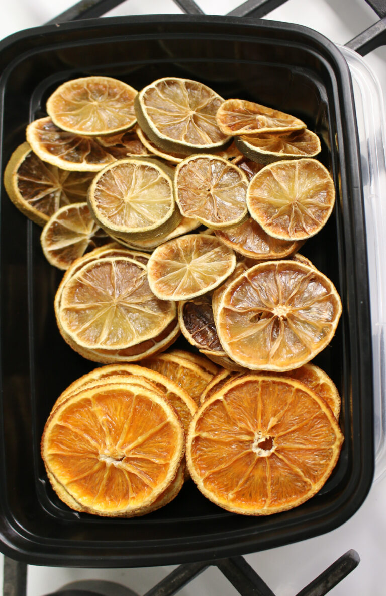 how to dry citrus slices in the oven