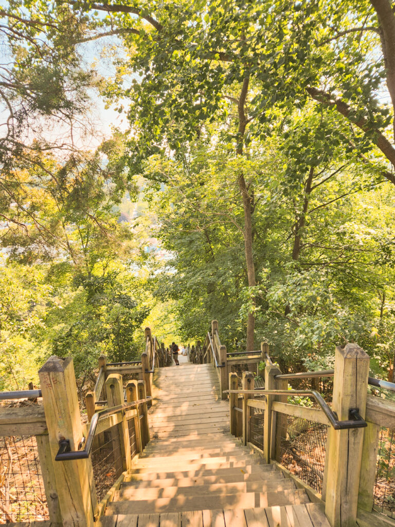 things to do in saguatuck