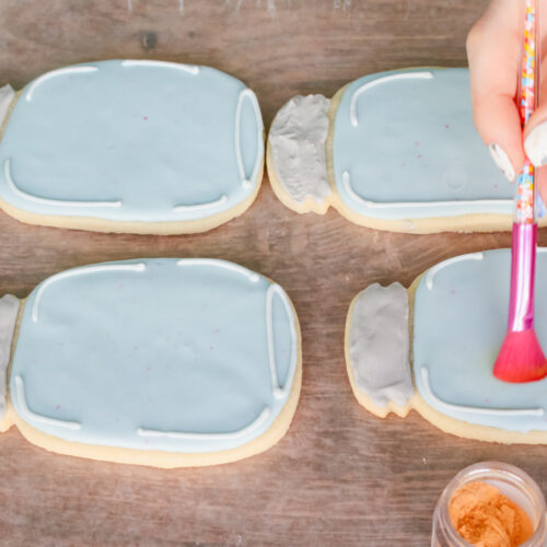 Firefly Mason Jar Sugar Cookies