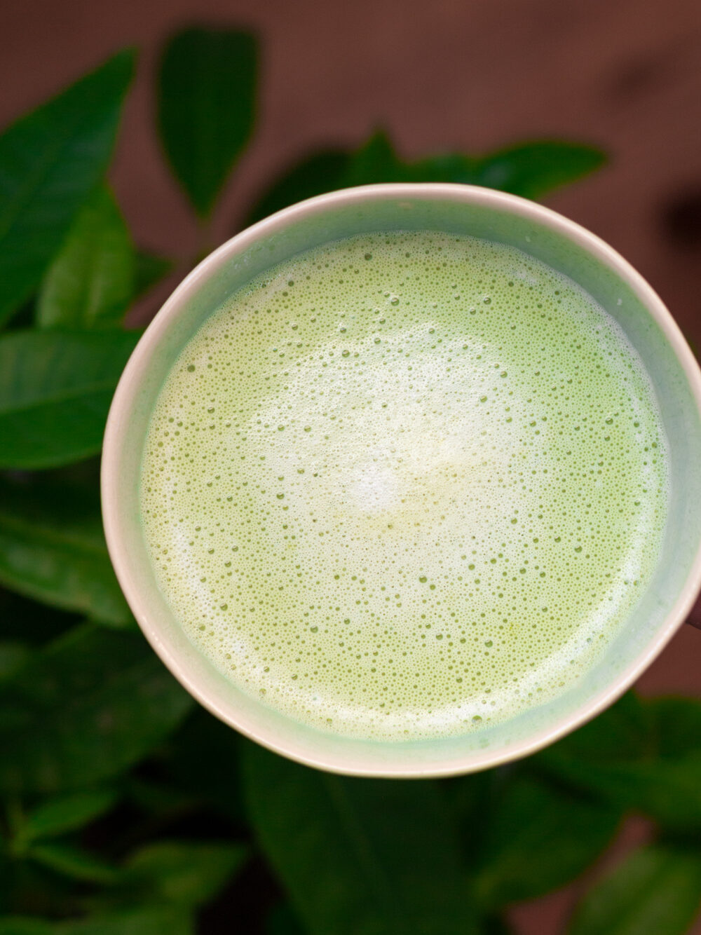 Starbucks matcha latte recipe