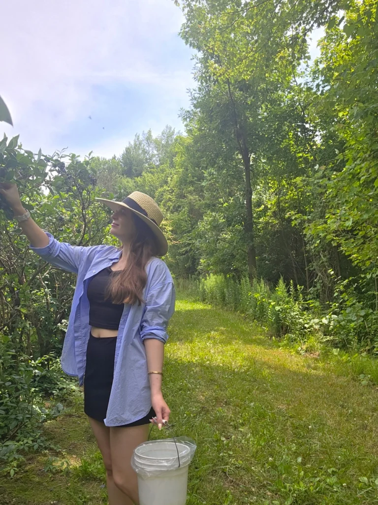 Things To Do In South Haven, MI