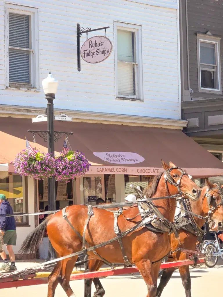 Mackinac Island Guide