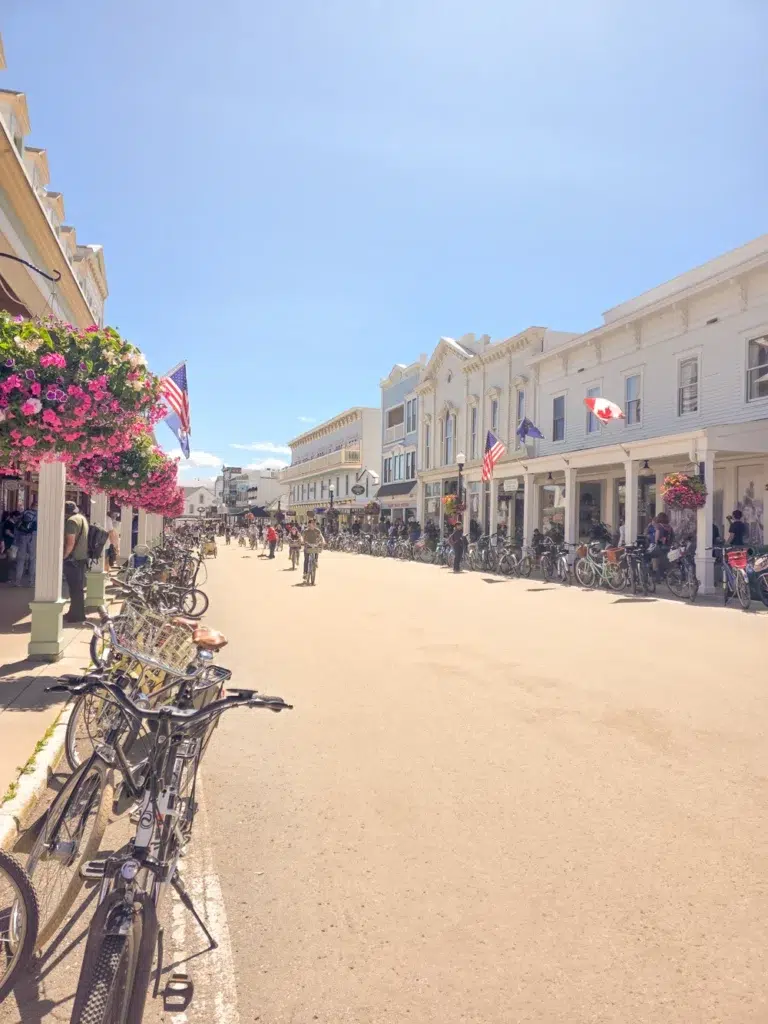 Mackinac Island Guide