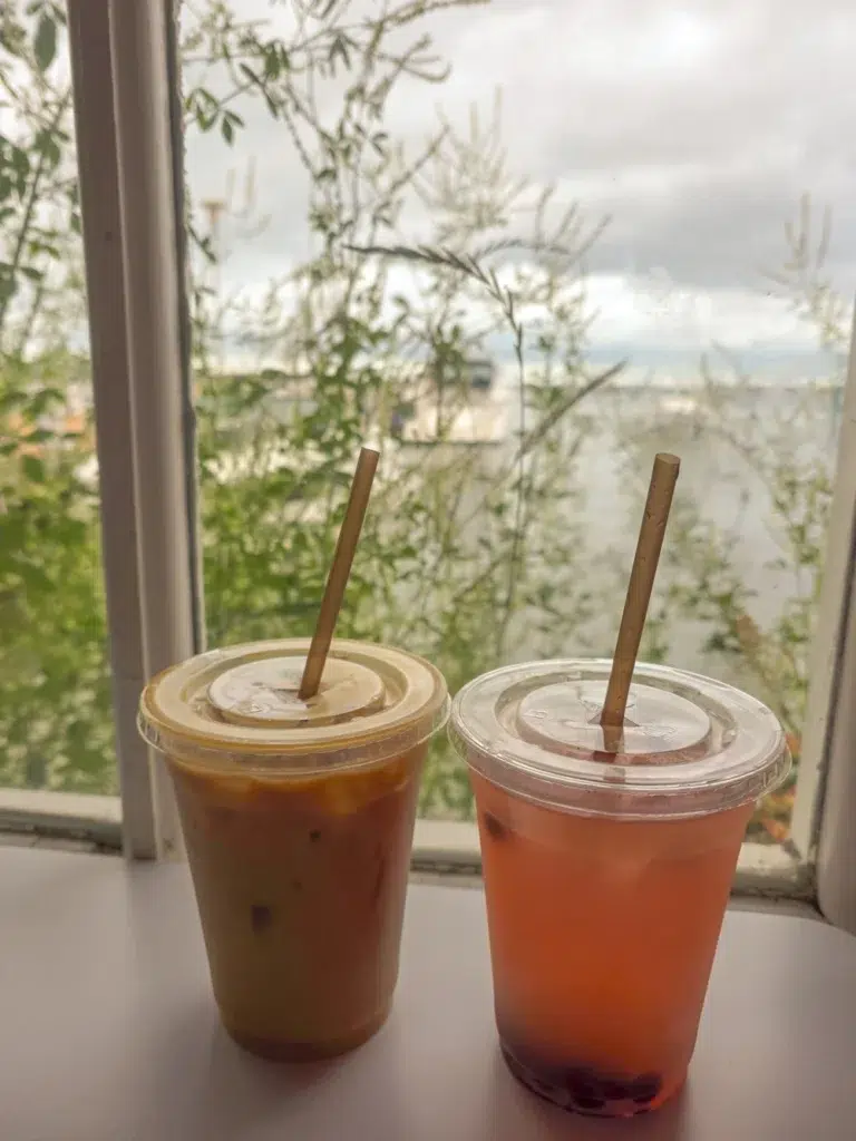 Mackinac Island Guide