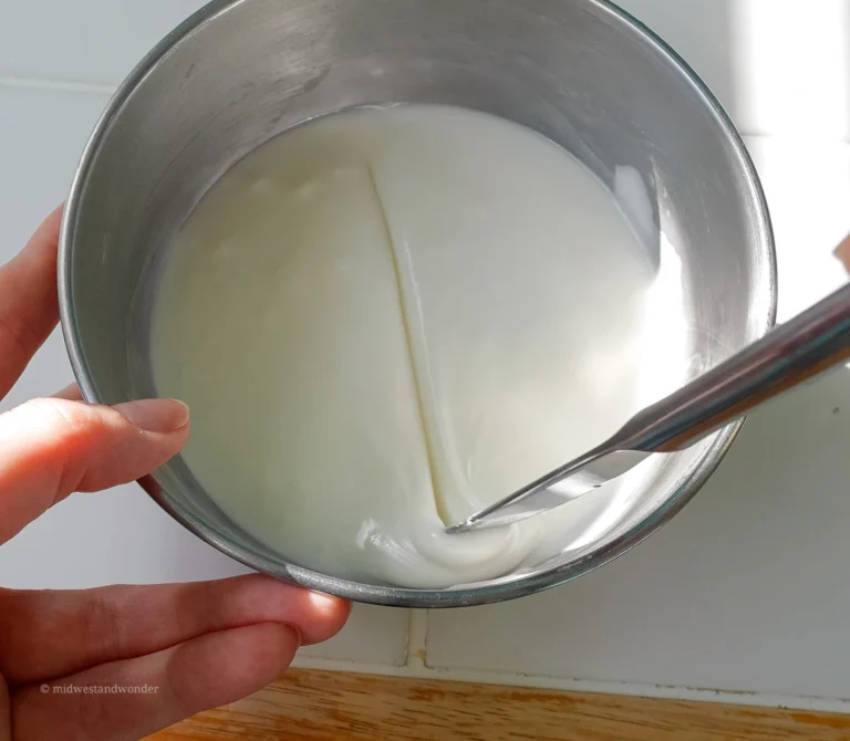 Royal Icing Consistency Guide (everything you need to know + videos)